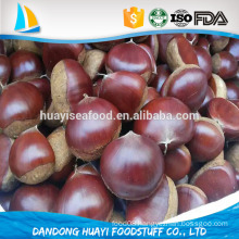Dandong chestnut natural sweet chestnut with competitive price